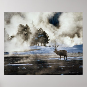 Póster Parque nacional Yellowstone