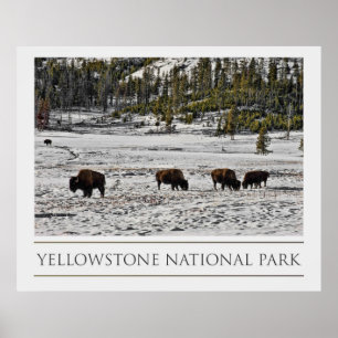 Póster Parque nacional Yellowstone