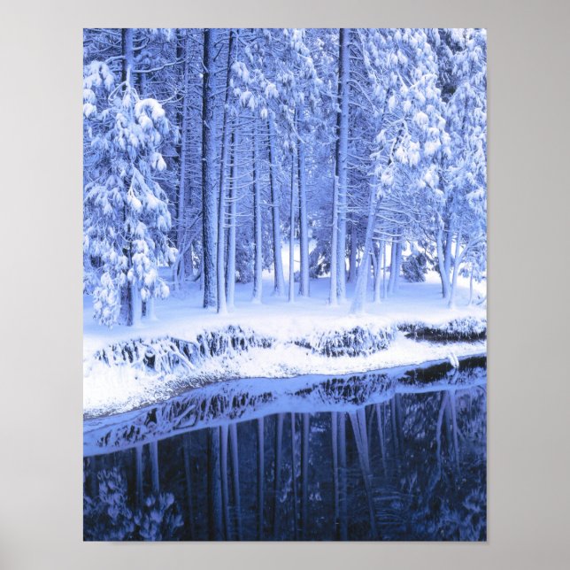 Póster PARQUE NACIONAL YOSEMITA, CALIFORNIA. EE.UU. Fresc (Frente)