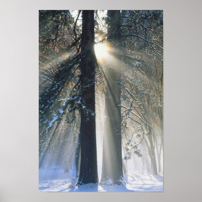 Póster Parque nacional Yosemite - streaming de rayos sola (Frente)