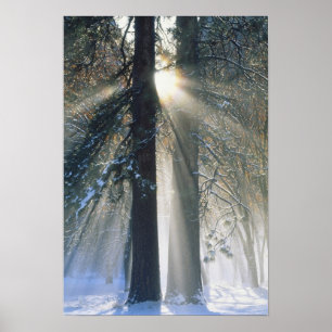Póster Parque Nacional Yosemite - Transmisión de rayos s