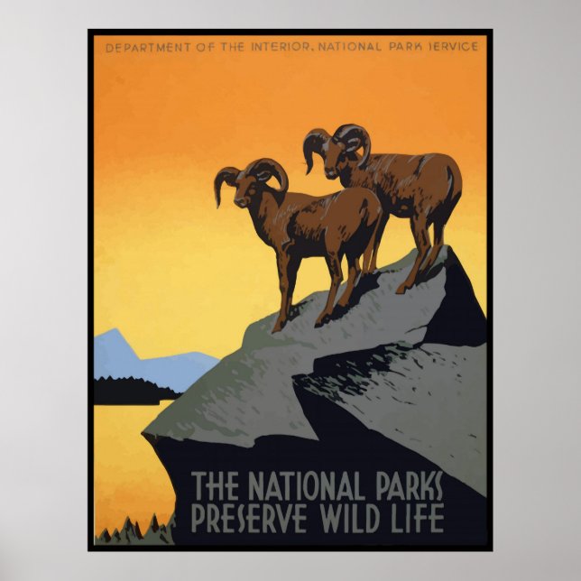 Póster Parques nacionales preservan la vida silvestre (Frente)