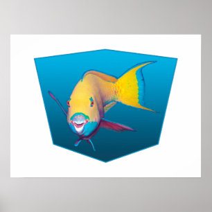 Póster Parrofish - Fondo azul gradiente de diseño  