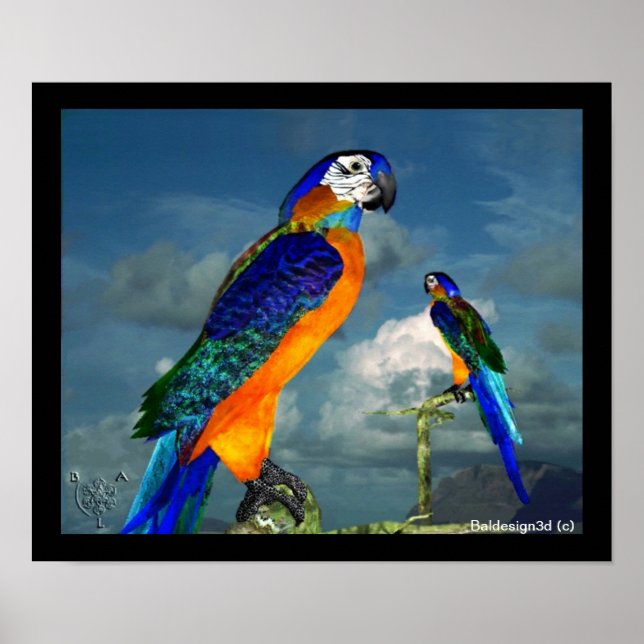 PÓSTER PARROS HIPEROS / ARA AZUL (Frente)