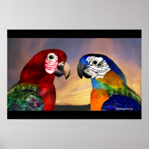 PÓSTER PARROS HIPEROS / ARA ROJA Y AZUL