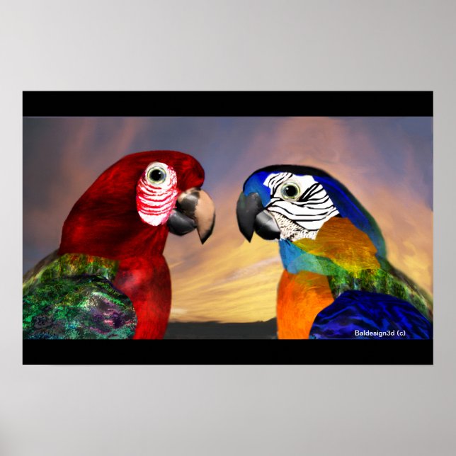 PÓSTER PARROS HIPEROS / ARA ROJA Y AZUL (Frente)