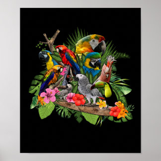 Póster Parrot Bird African Gray Parrot Cockatiel