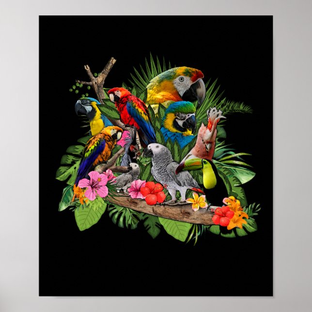 Póster Parrot Bird African Gray Parrot Cockatiel (Frente)