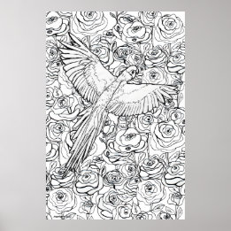 Póster Parrot Clarity