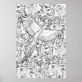 Póster Parrot Clarity