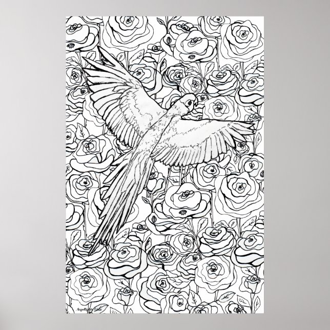 Póster Parrot Clarity (Frente)