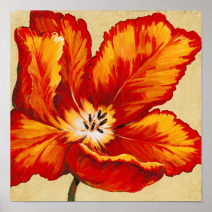 Póster Parrot Tulip I