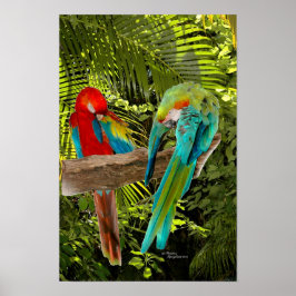 Póster Parrotas de Macao en un Poster forestal tropical