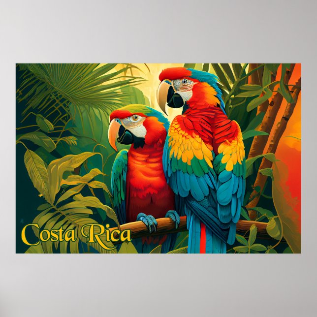 Póster Parrots de Costa Rica (Frente)