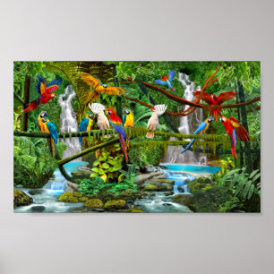 PÓSTER PARROTS IN PARADISE