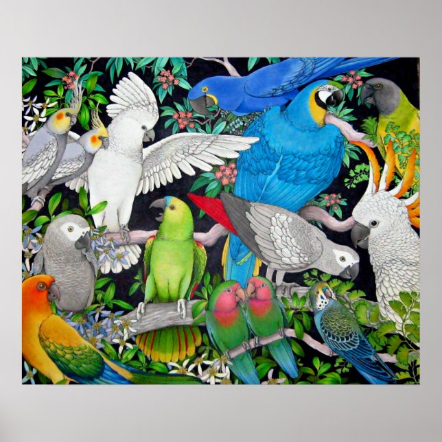 Póster Parrots mascotas del Poster Mundial (Frente)