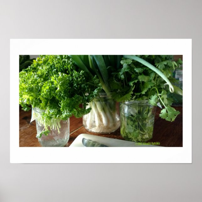 Póster Parsley, Cilantro & Green Onions Poster (Frente)