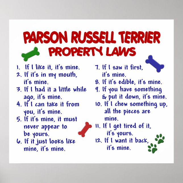 PÓSTER PARSON RUSSELL TERRIER PL2 (Frente)