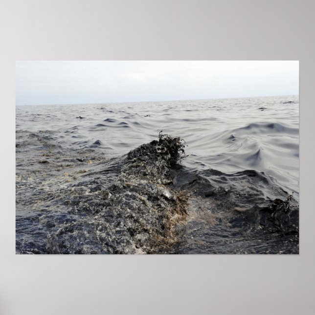 Póster Parte de una marea negra en el Golfo de México (Frente)