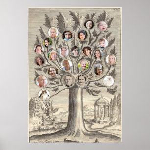 Póster Parte movible antiguo del árbol de familia sus