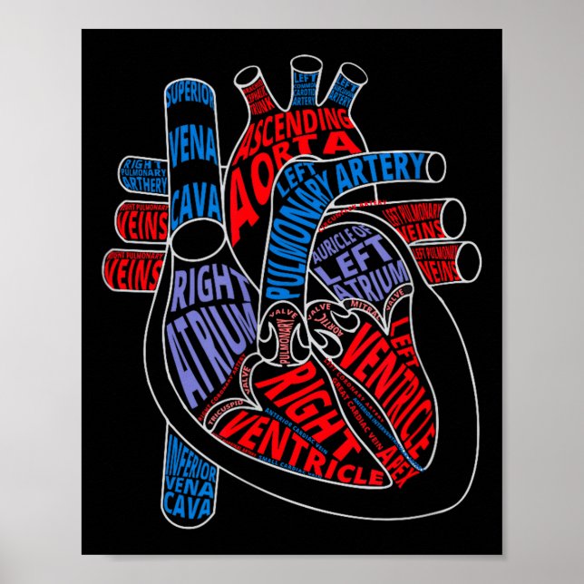 Póster Parts Of Heart Anatomical Heart Gift For Cardiolog (Frente)