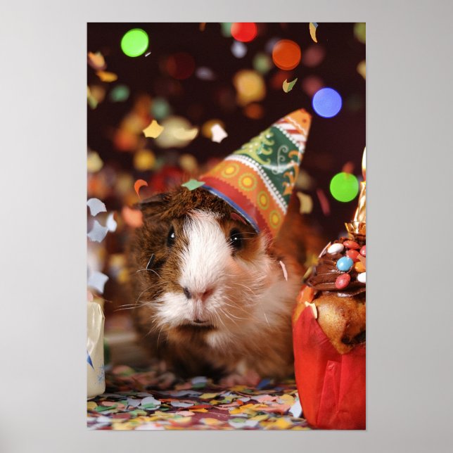 Póster Party Guinea Pig (Frente)
