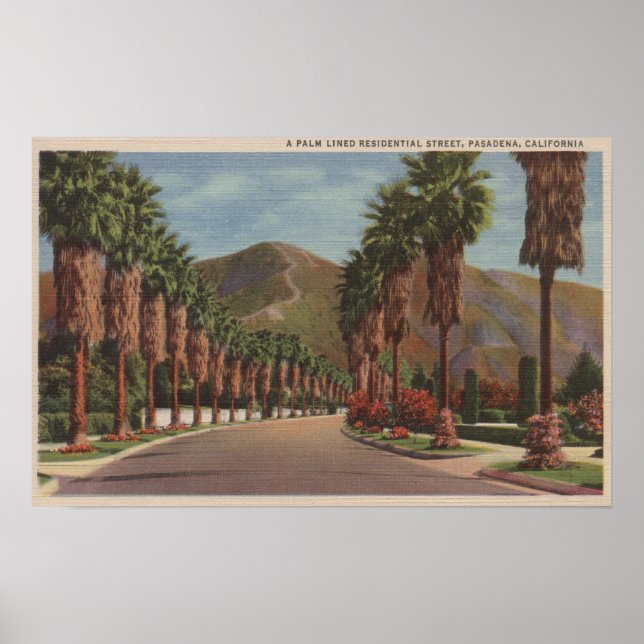 Póster Pasadena, CA - Escena y palmas de la calle residen (Frente)