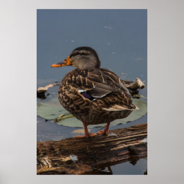 Póster Pasando el rato