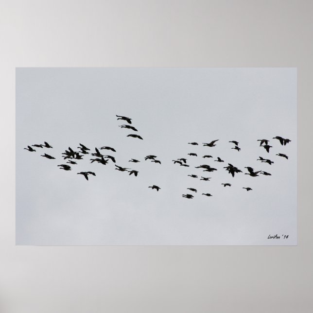 Póster Pasar por 1 (Frente)