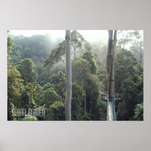 Póster Pasarela de copas de árboles de la selva tropical 