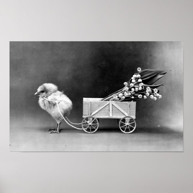 Póster Pascua victoriana (Frente)