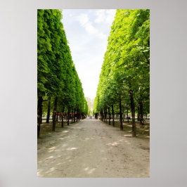Póster Paseo arbolado