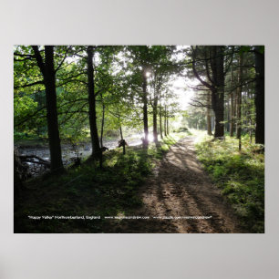 Póster Paseo cerca del valle Río-Feliz, Northumberland