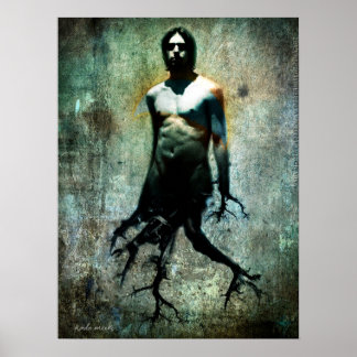 Póster Paseo de árbol