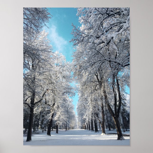 Póster paseo de invierno por el parque (Frente)