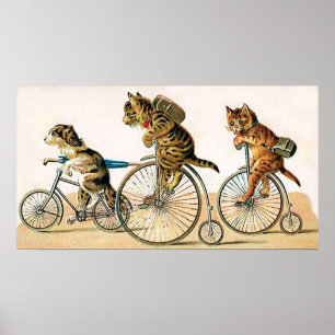 Póster Paseo de la bicicleta