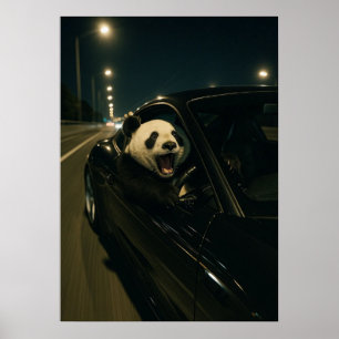 Póster Paseo de medianoche: Panda divertido en un coche d
