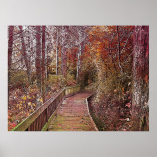 Póster Paseo de otoño
