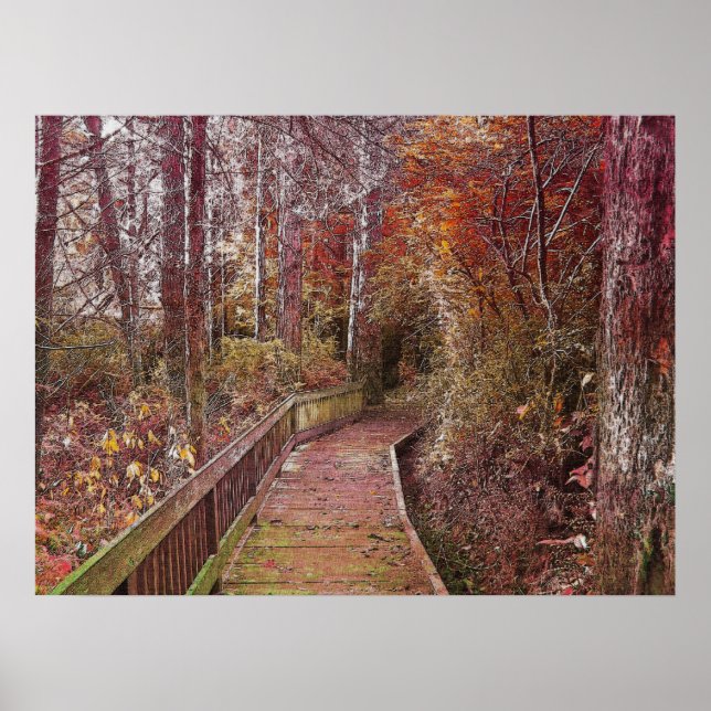 Póster Paseo de otoño (Frente)