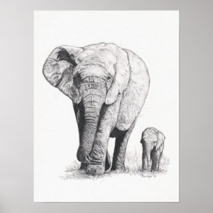 Póster Paseo del elefante