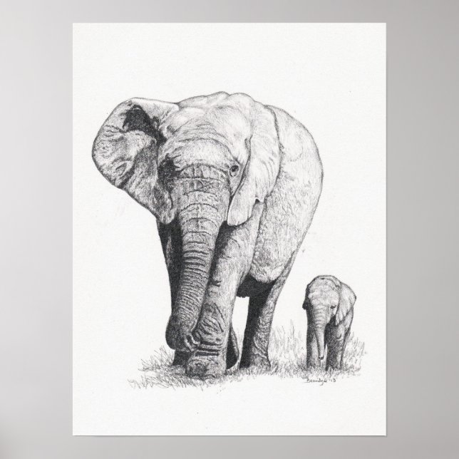 Póster Paseo del elefante (Frente)