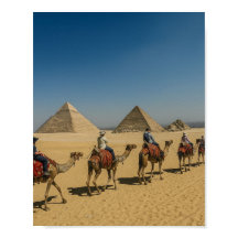 Paseo en camello por el desierto de las pirámides 