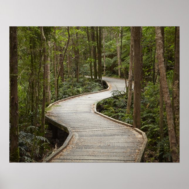 Póster Paseo marítimo a Nelson Falls, Franklin - Gordon (Frente)