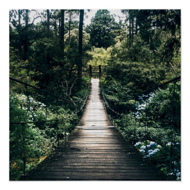 Póster Paseo Marítimo Por El Bosque (Anverso)