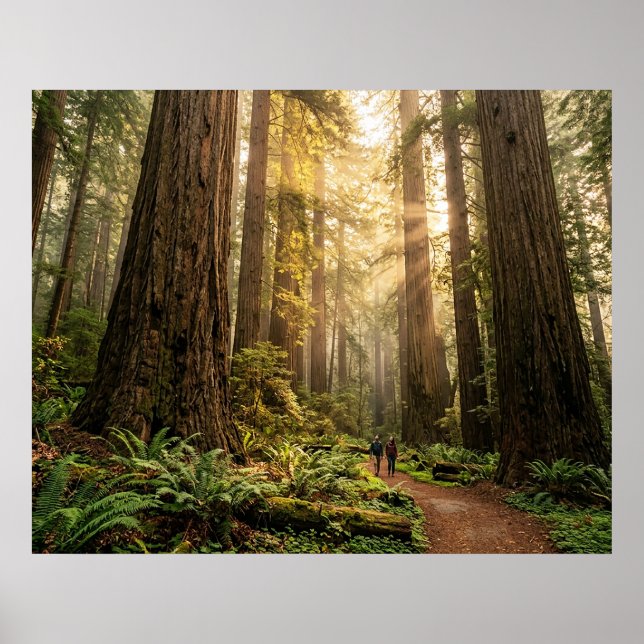 Póster Paseo por el bosque (Frente)
