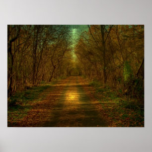 Póster paseo por la luna