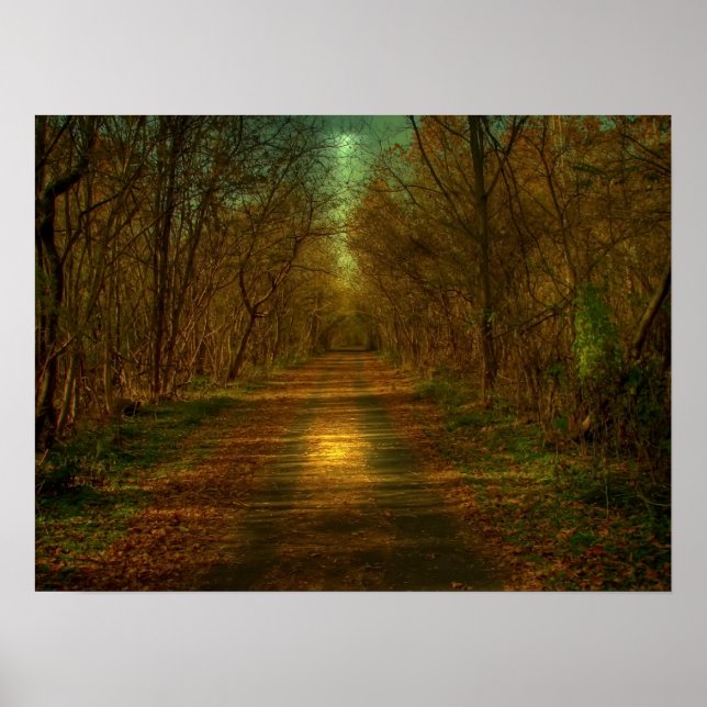 Póster paseo por la luna (Frente)