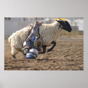 Póster Paseo salvaje