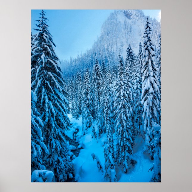 Póster Paso de Snoqualmie, Estado de Washington. (Frente)