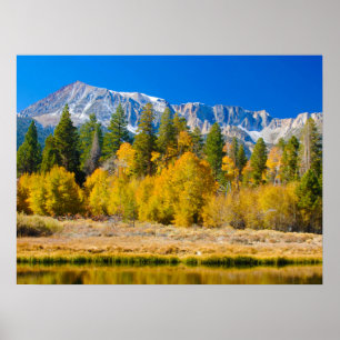 Póster Paso del Tioga en el Parque Nacional Yosemite